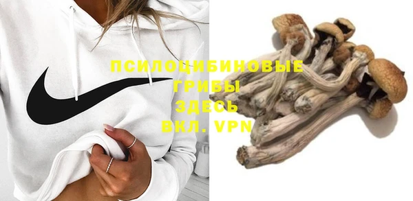 мяу мяу кристалл Гусиноозёрск