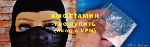 молекула духа Сосновка