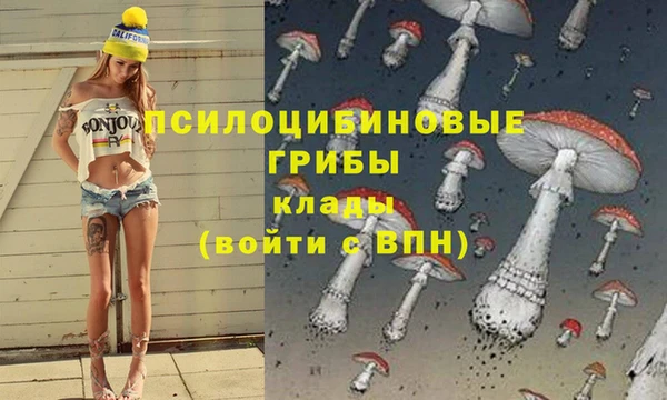 мяу мяу кристалл Гусиноозёрск