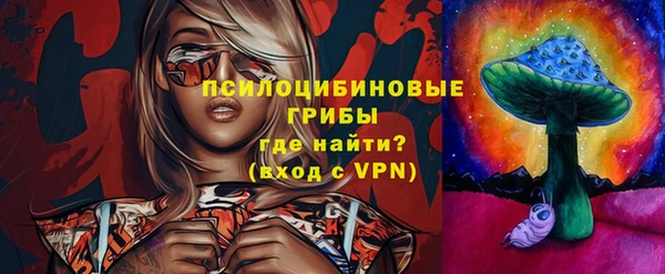 молекула духа Гусь-Хрустальный