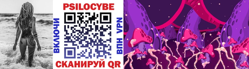Псилоцибиновые грибы мицелий  как найти наркотики  Ленинск-Кузнецкий 